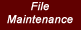 File Maintenance